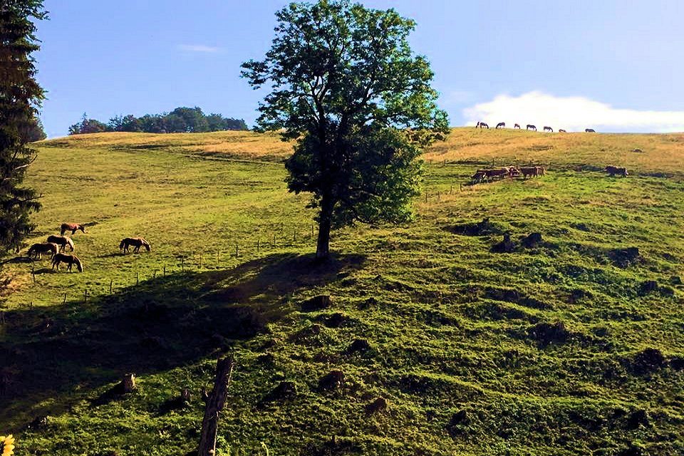 Grassau Familienwanderung