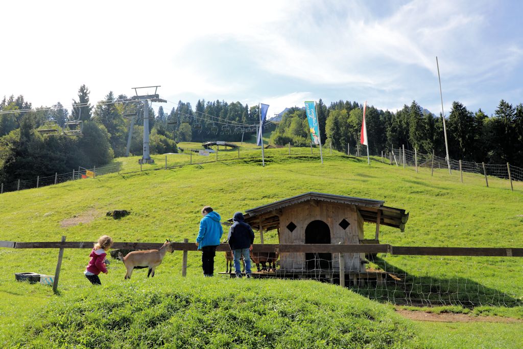 Rodelbahn Zahmer Kaiser Tirol