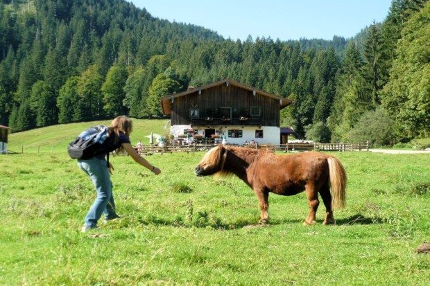 Röthelmoosalm Familienwanderung