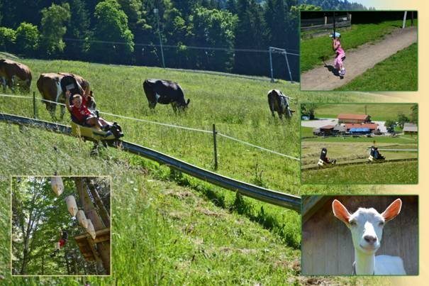 Sommerrodelbahn Tegernsee Ostin