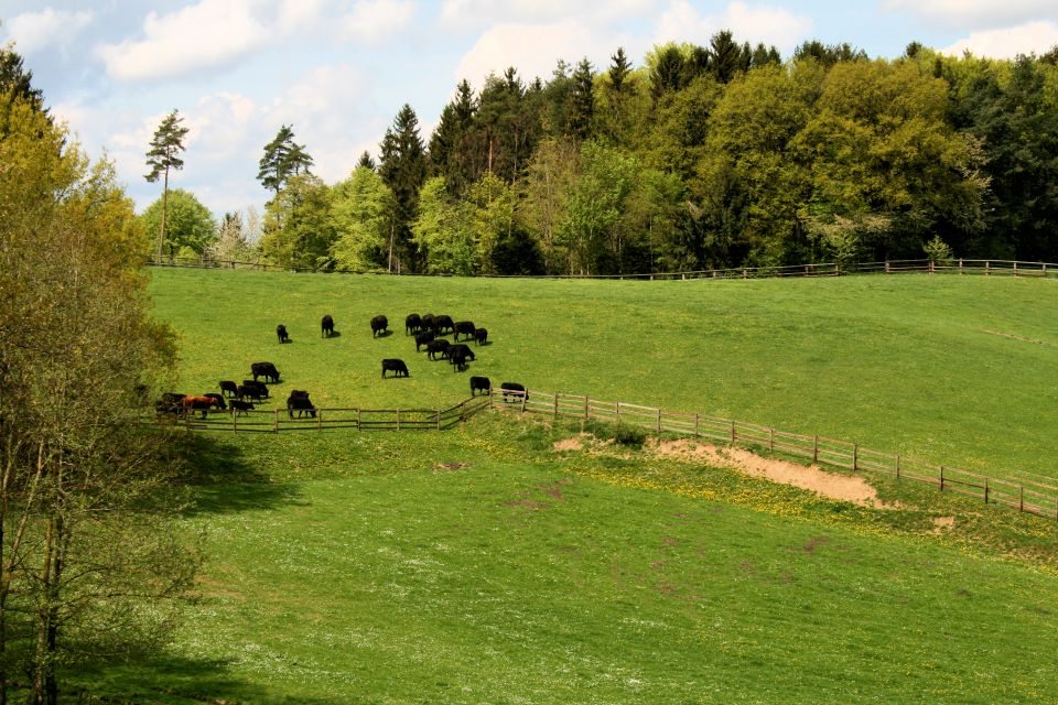 Hallertauer Hopfenrundweg Wolnzach Ausflugsziel Familien wandern Kinderwagen_1