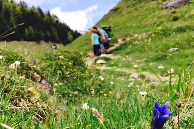 Tiroler Bergwelt