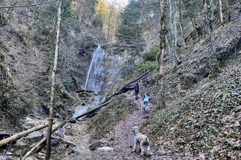 Moorerlebnisweg - Wasserfall - Panoramaweg - Grassau - KiMaPa