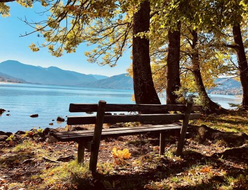 Herbsttipps für Familien