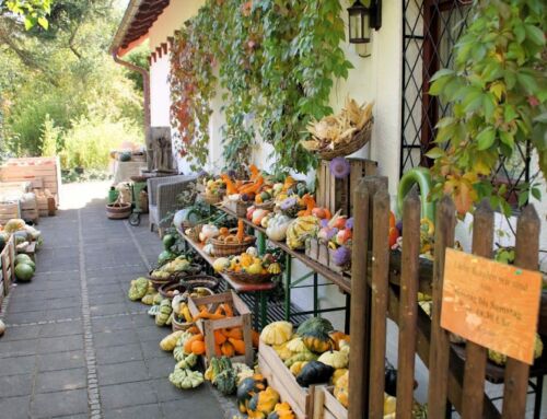 Der Habeker Hof – Hofladen in Haar